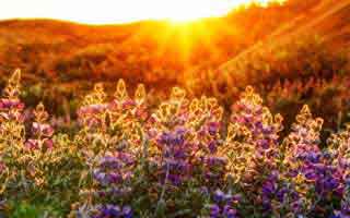 91视频的神秘爆发：幕后真相与网络热潮的新篇章