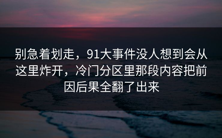 别急着划走，91大事件没人想到会从这里炸开，冷门分区里那段内容把前因后果全翻了出来