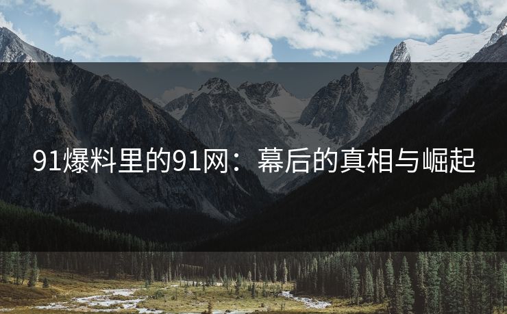 91爆料里的91网：幕后的真相与崛起
