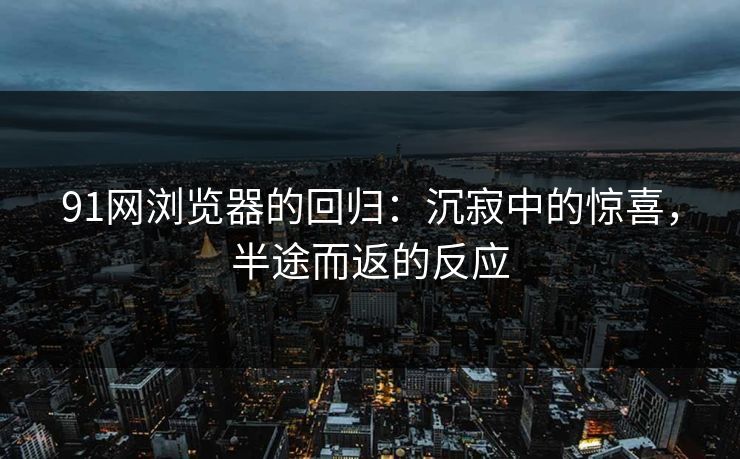 91网浏览器的回归：沉寂中的惊喜，半途而返的反应