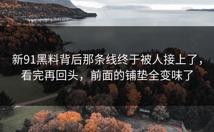 新91黑料背后那条线终于被人接上了，看完再回头，前面的铺垫全变味了