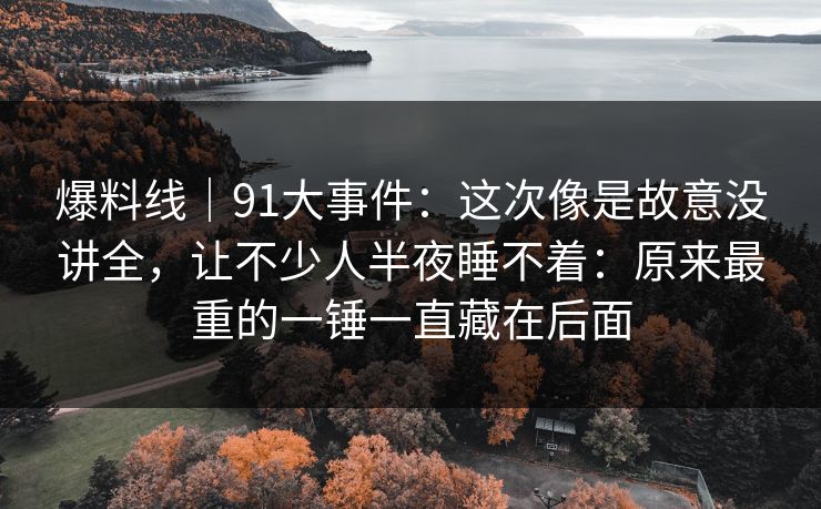 爆料线｜91大事件：这次像是故意没讲全，让不少人半夜睡不着：原来最重的一锤一直藏在后面