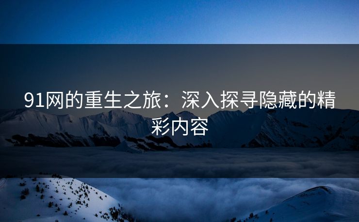 91网的重生之旅：深入探寻隐藏的精彩内容