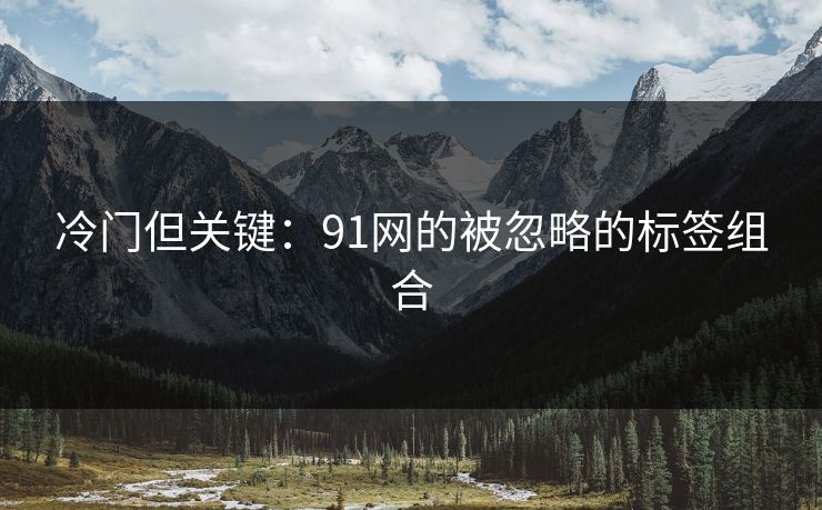 冷门但关键：91网的被忽略的标签组合