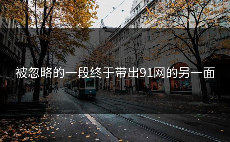 被忽略的一段终于带出91网的另一面