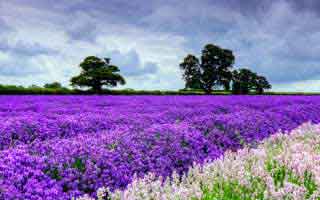 91大事件线路和91大事件这次又被提起，那条被反复提起的线索到底指向谁