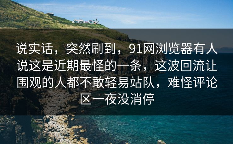 说实话，突然刷到，91网浏览器有人说这是近期最怪的一条，这波回流让围观的人都不敢轻易站队，难怪评论区一夜没消停