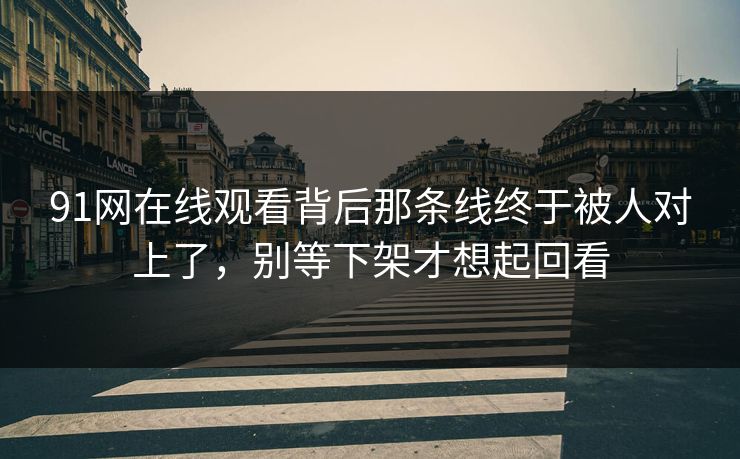 91网在线观看背后那条线终于被人对上了，别等下架才想起回看